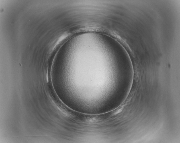 X0000070880062200606191325