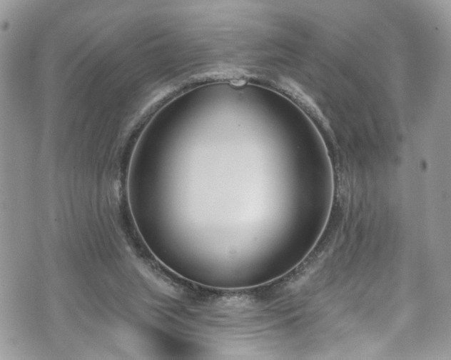 X0000070880063200606191325