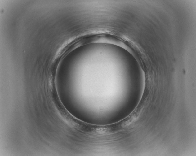 X0000070880064200606191325