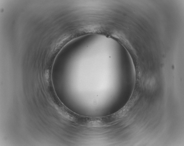 X0000070880066200606191326