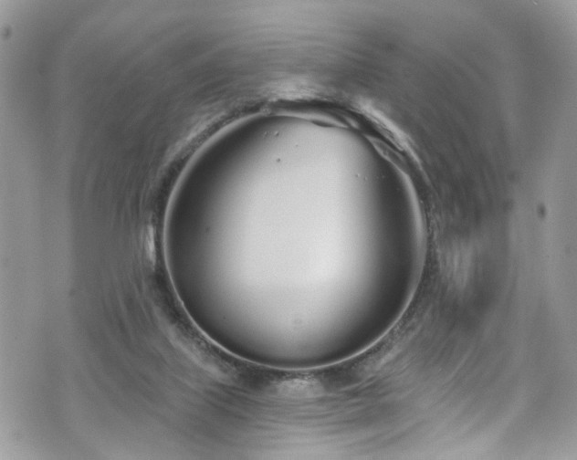 X0000070880067200606191326