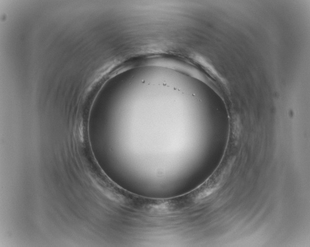 X0000070880068200606191326