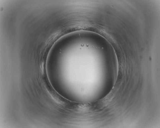 X0000070880070200606191326