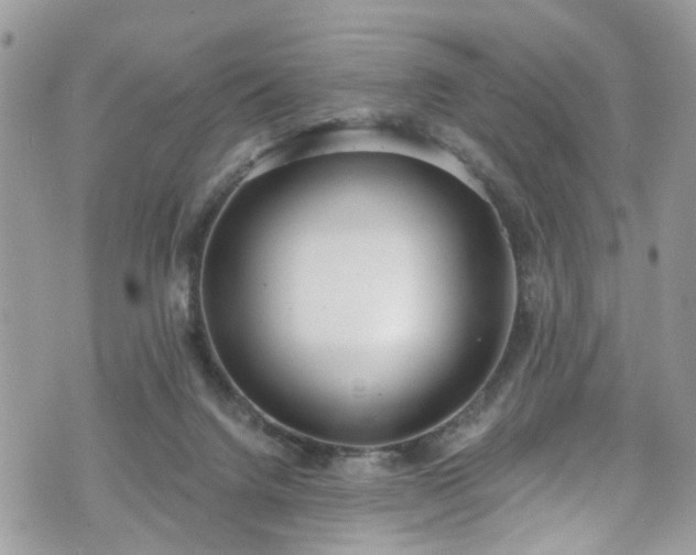 X0000070880072200606191326