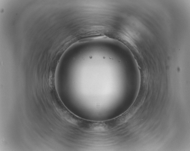 X0000070880073200606191326