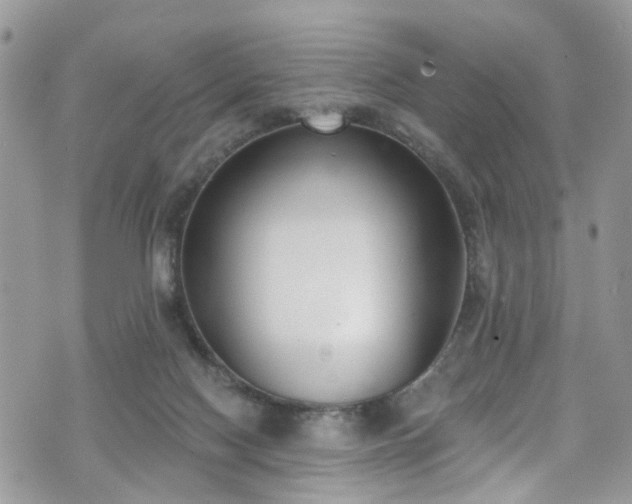 X0000070880074200606191326