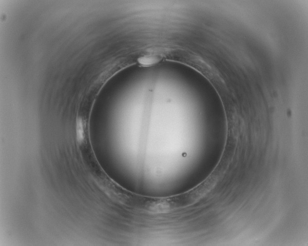 X0000070880075200606191326