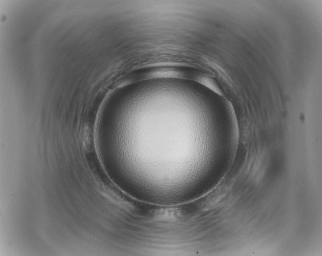 X0000070880077200606191326