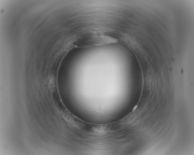 X0000070880079200606191326