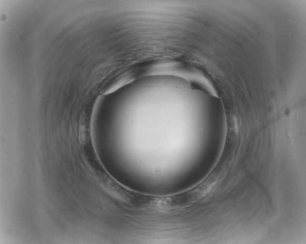 X0000070880080200606191326