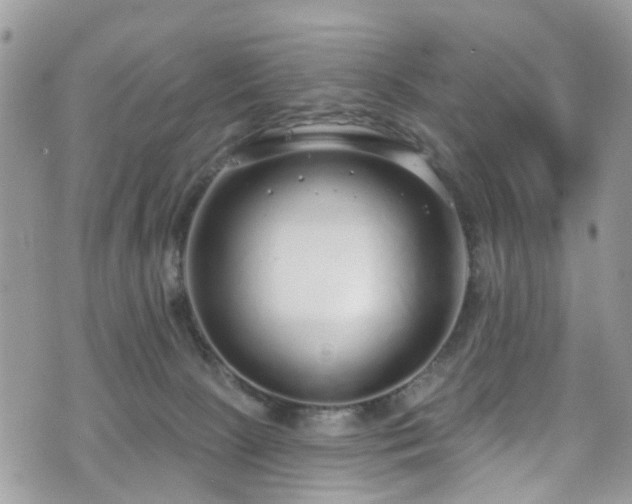 X0000070880081200606191326