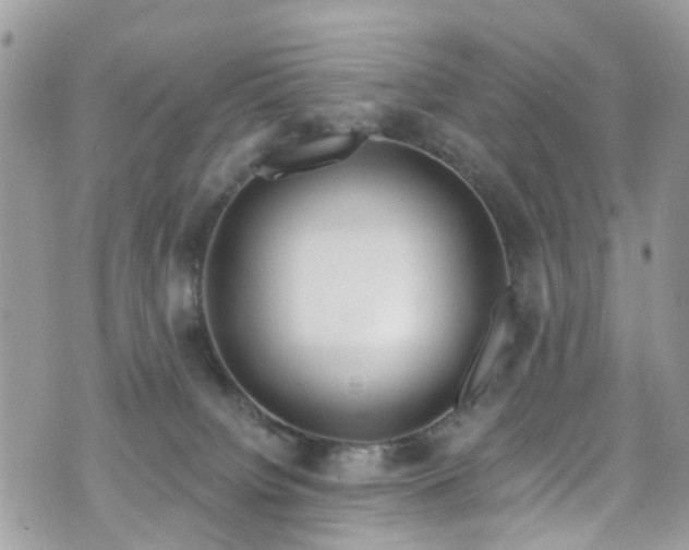 X0000070880084200606191326