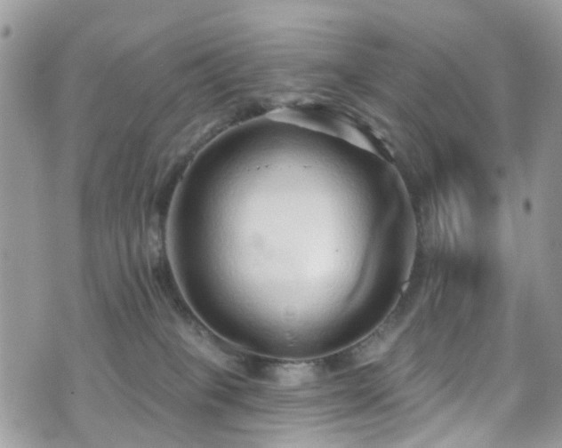 X0000070880085200606191326