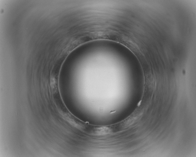 X0000070880087200606191326