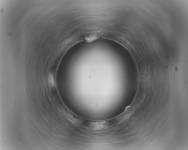 X0000070880089200606191326