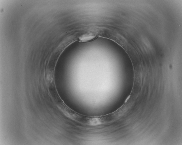 X0000070880091200606191326