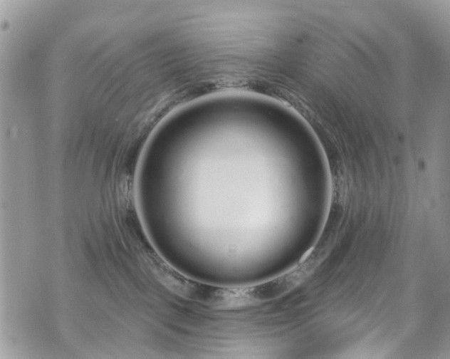 X0000070880093200606191326