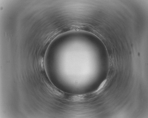 X0000070880094200606191326