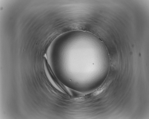 X0000070880095200606191326