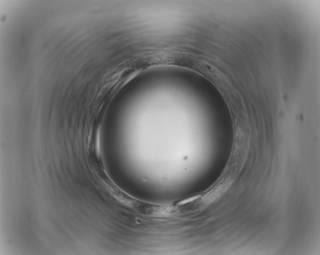 X0000070880096200606191326