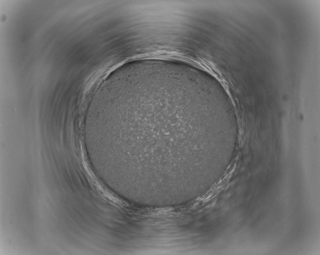 X0000070880097200606191325