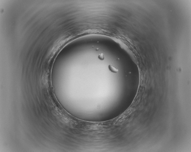 X0000070880098200606191325