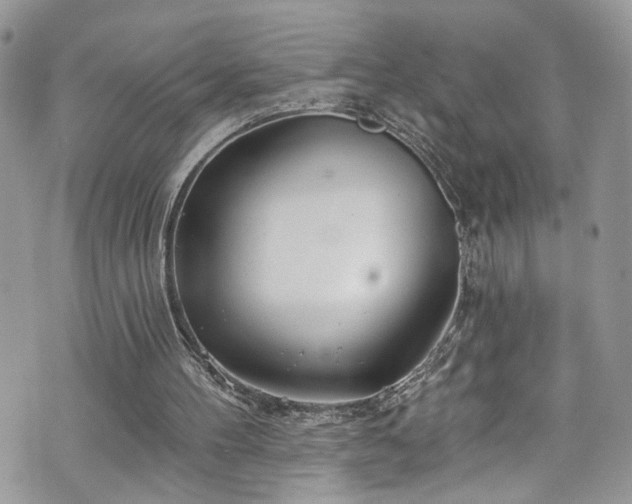 X0000070880100200606191325