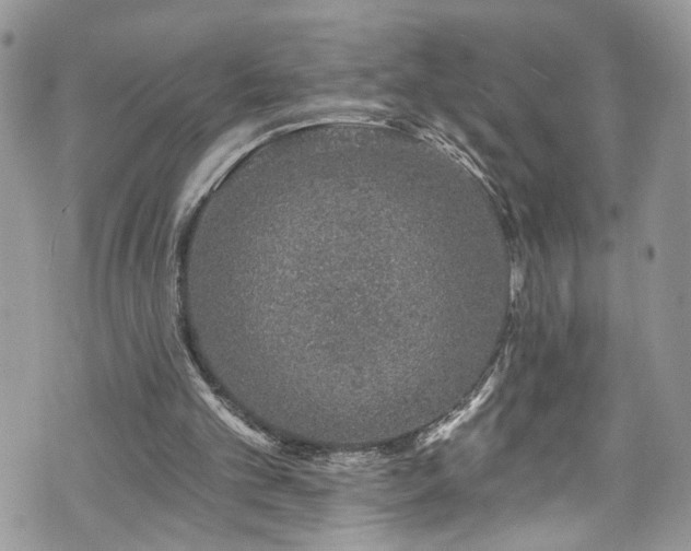 X0000070880101200606191325