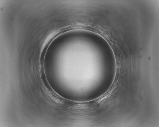 X0000070880102200606191325