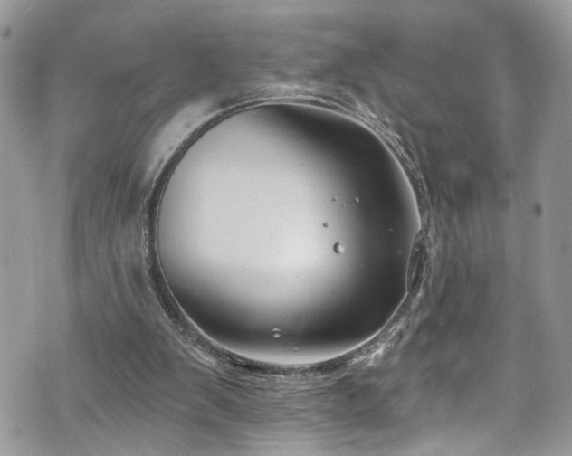 X0000070880103200606191325