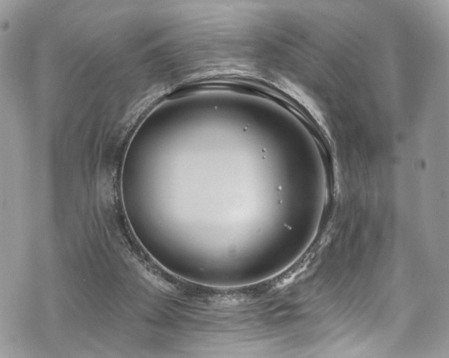 X0000070880105200606191325