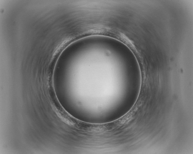 X0000070880106200606191325