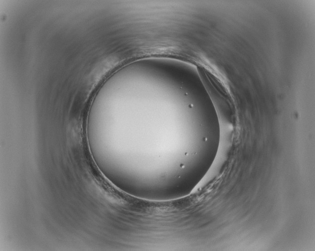 X0000070880107200606191325