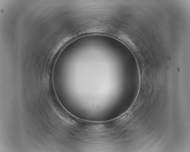 X0000070880108200606191325