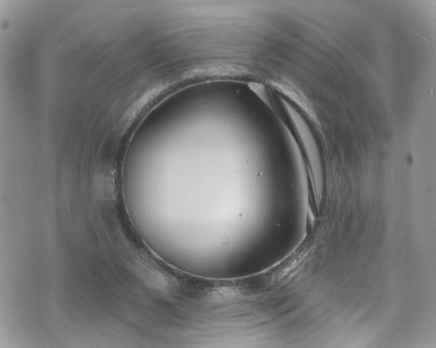 X0000070880111200606191325