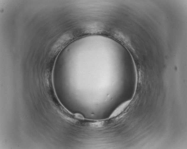 X0000070880114200606191325