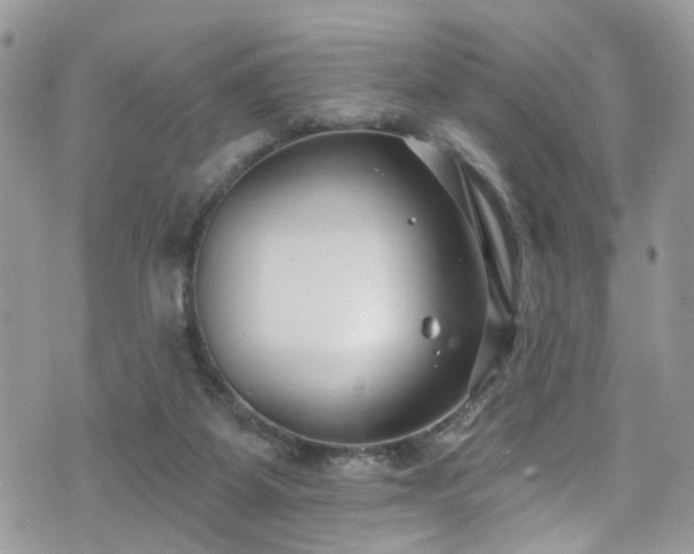 X0000070880115200606191325