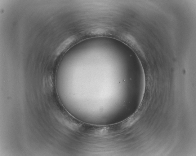 X0000070880116200606191325