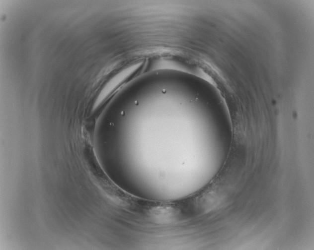 X0000070880119200606191325