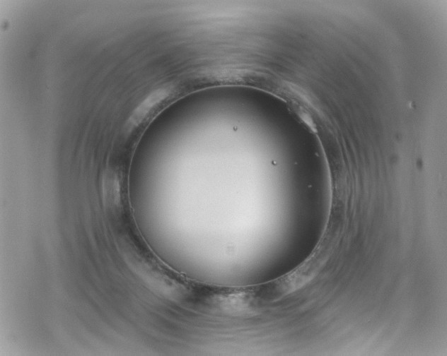 X0000070880120200606191325