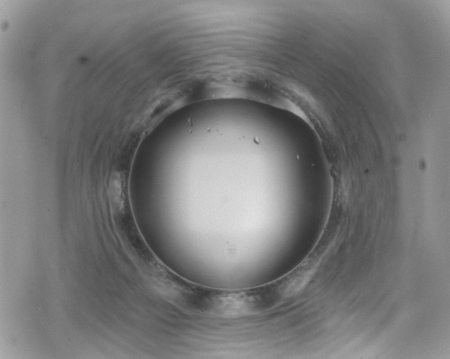 X0000070880121200606191325