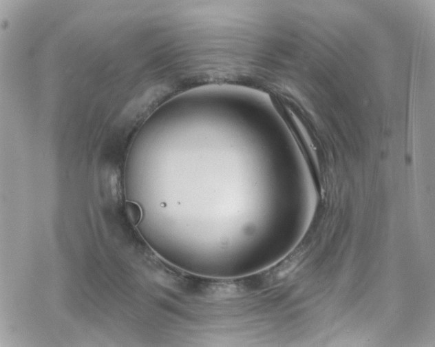 X0000070880123200606191325