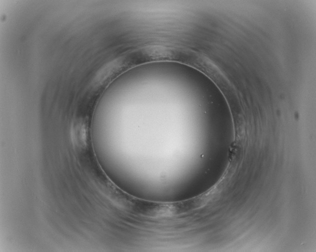 X0000070880124200606191325