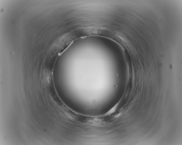 X0000070880125200606191325