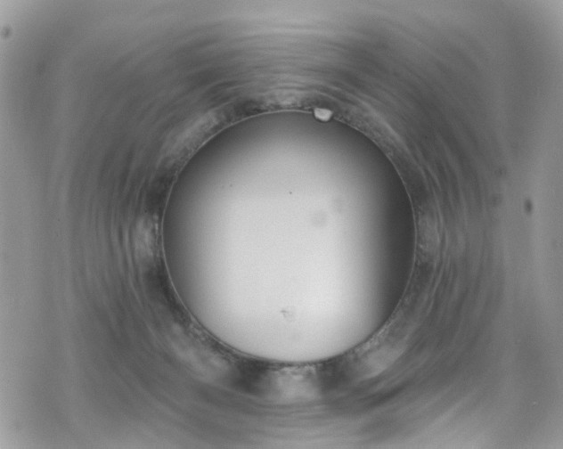 X0000070880126200606191325