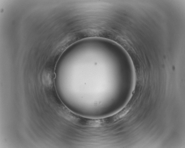 X0000070880131200606191325