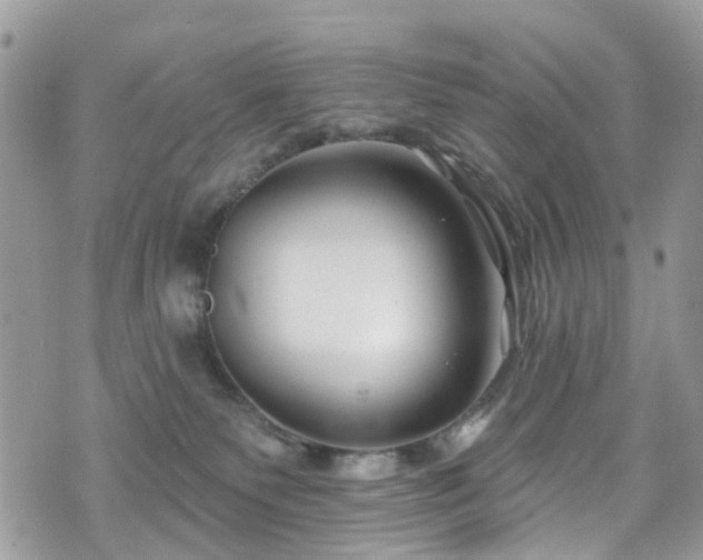 X0000070880135200606191325