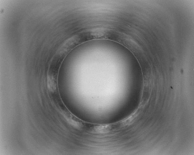 X0000070880136200606191325