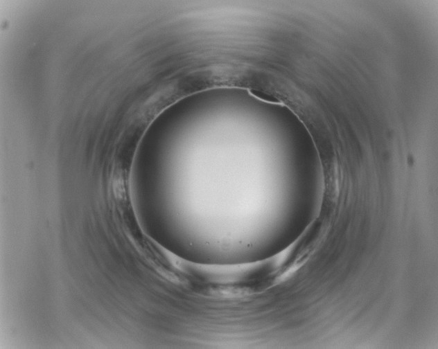 X0000070880137200606191325