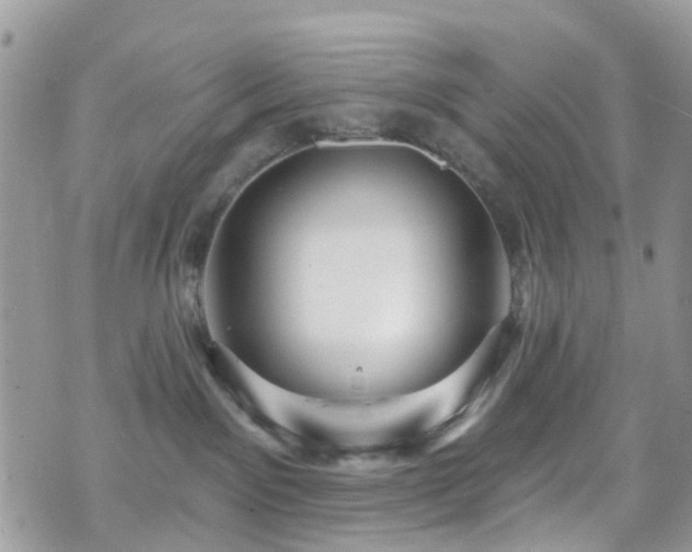 X0000070880141200606191324